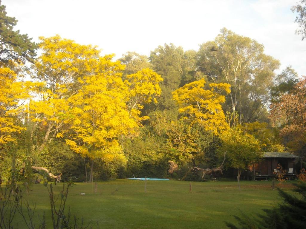 Cabanas Las Lavandas En Pilar Pilar  Rum bild