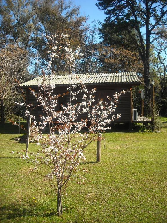 Cabanas Las Lavandas En Pilar Pilar  Exteriör bild
