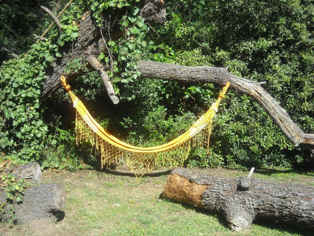 Cabanas Las Lavandas En Pilar Pilar  Rum bild