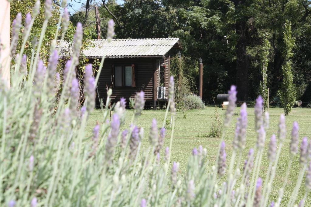 Cabanas Las Lavandas En Pilar Pilar  Exteriör bild